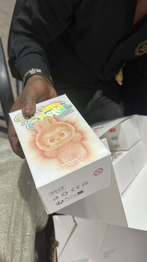 Labubu Doll β POP MART x Kasing Lung | Adorable Collectible Plush