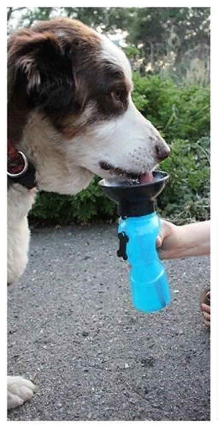 Outdoor Portable Dog Water Bottle/Drinking Cup for Pets