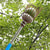 Fruit Picker with Basket